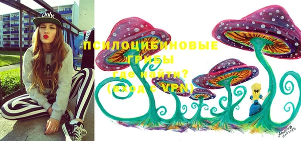 гидра Ступино